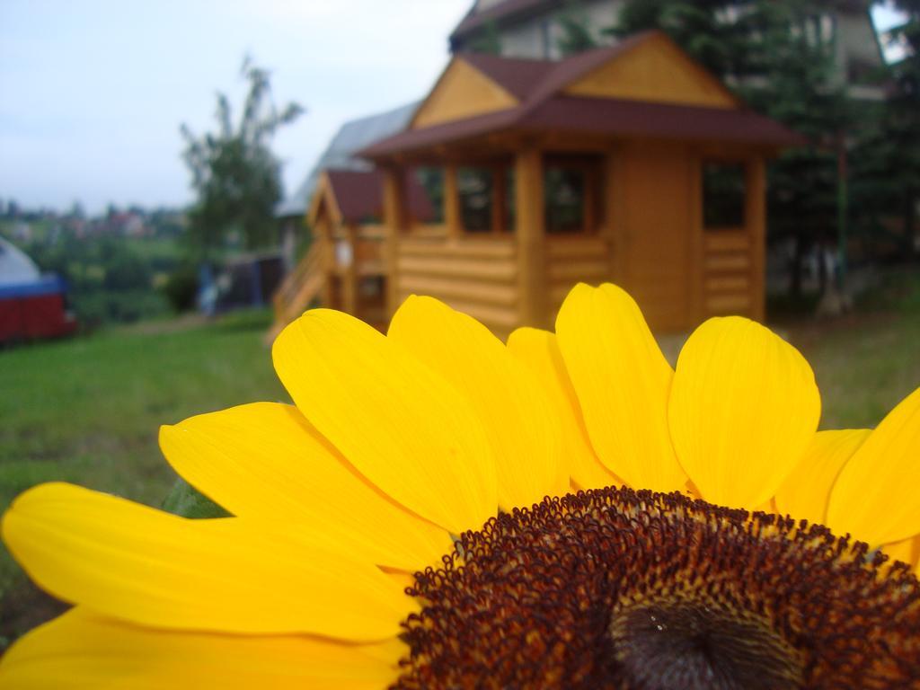 Apartamenty I Pokoje Pod Limbami - Sauna, Teznia Bukowina Tatrzańska Exterior foto