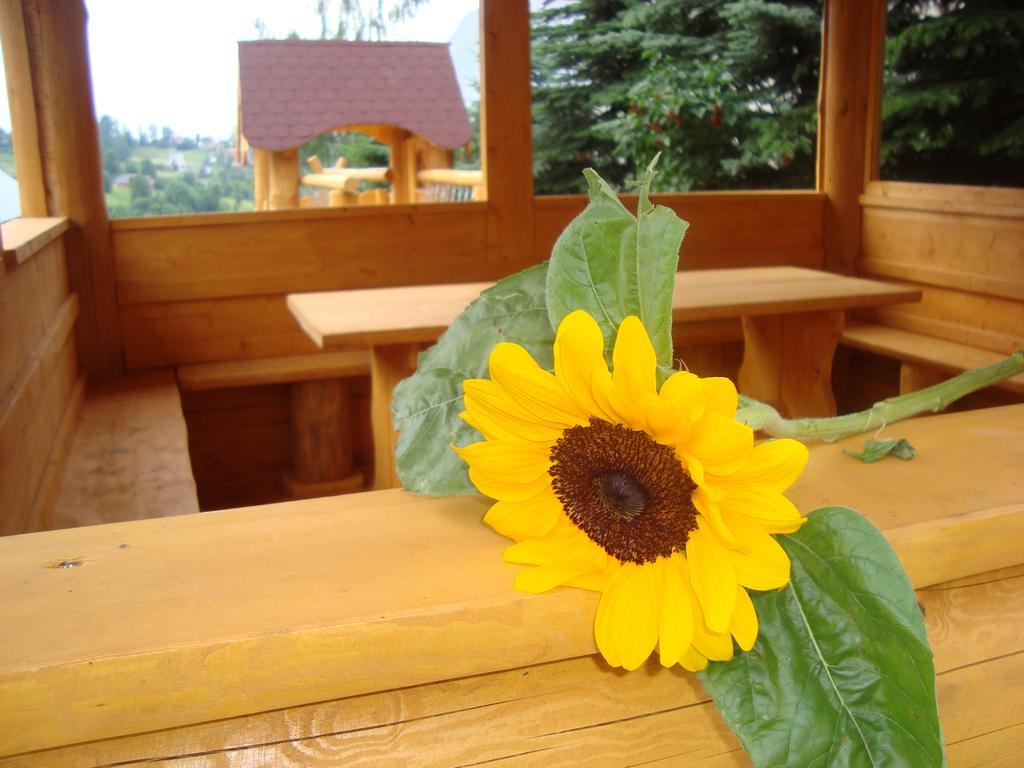 Apartamenty I Pokoje Pod Limbami - Sauna, Teznia Bukowina Tatrzańska Exterior foto